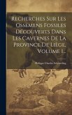 Recherches Sur Les Ossemens Fossiles Découverts Dans Les Cavernes De La Province De Liège, Volume 1...