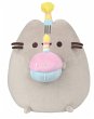 Birthday Party Pusheen Plush Toy - Bild 1