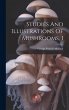 Studies And Illustrations Of Mushrooms,... - Bild 1