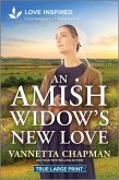 An Amish Widow's New Love An Amish Widow's New Love