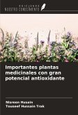 Importantes plantas medicinales con gran potencial antioxidante