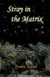Stray in the Matrix - Bild 1