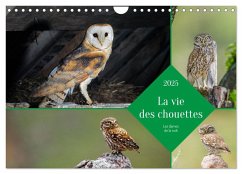 La vie des chouettes, les dames de la nuit (Calendrier mural 2025 DIN A4 vertical), CALVENDO calendrier mensuel