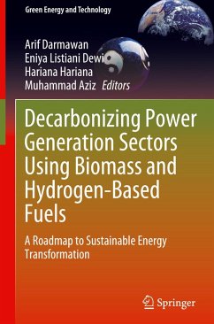 Decarbonizing Power Generation Sectors Using Biomass and Hydrogen-Based Fuels