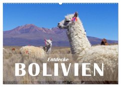 Entdecke Bolivien (Wandkalender 2025 DIN A2 quer), CALVENDO Monatskalender