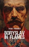 Boryslav in Flames (eBook, ePUB)