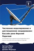 Chislennoe modelirowanie i distancionnoe zondirowanie: bassejn reki Verhnij Paragwaj