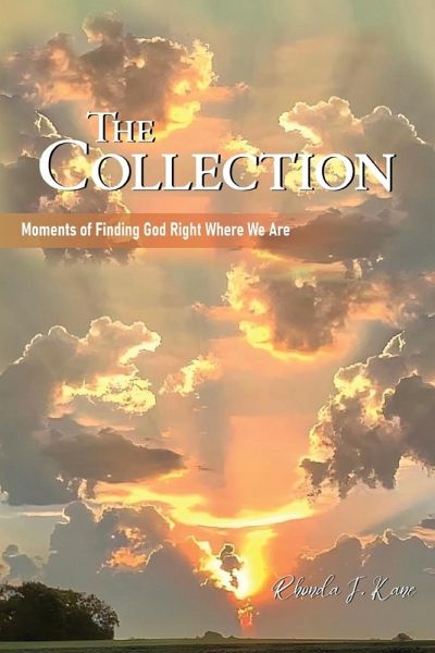 The Collection The Collection