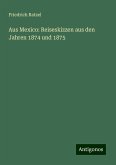 Aus Mexico: Reiseskizzen aus den Jahren 1874 und 1875