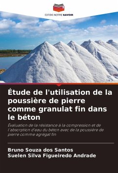 Étude de l'utilisation de la poussière de pierre comme granulat fin dans le béton - dos Santos, Bruno Souza;Figueiredo Andrade, Suelen Silva