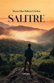 Salitre (eBook, ePUB)