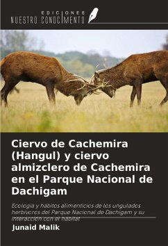 Ciervo de Cachemira (Hangul) y ciervo almizclero de Cachemira en el Parque Nacional de Dachigam - Malik, Junaid