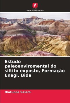 Estudo paleoenviromental do siltito exposto, Formação Enagi, Bida - Salami, Olatunde