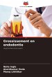 Grossissement en endodontie - Bild 1