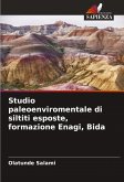 Studio paleoenviromentale di siltiti esposte, formazione Enagi, Bida Studio paleoenviromentale di siltiti esposte, formazione Enagi, Bida