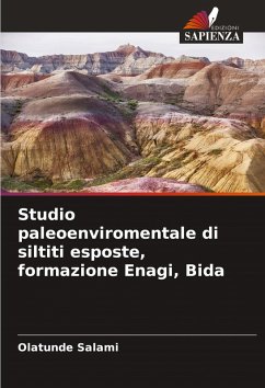 Cover Studio paleoenviromentale di siltiti esposte, formazione Enagi, Bida
