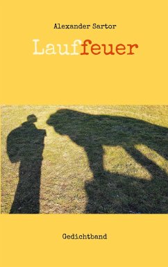 Cover Lauffeuer (eBook, ePUB)