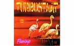 Flamingo (Ltd. 180g Lp)