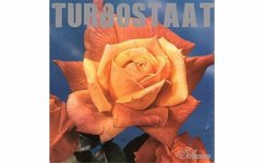 Schwan (Ltd. 180g Lp) - Turbostaat