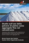 Studio sull'uso della polvere di pietra come aggregato fine nel calcestruzzo