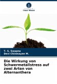 Die Wirkung von Schwermetallstress auf zwei Arten von Alternanthera Die Wirkung von Schwermetallstress auf zwei Arten von Alternanthera