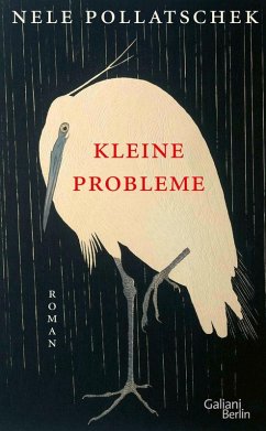 Kleine Probleme   (Mängelexemplar) - Pollatschek, Nele