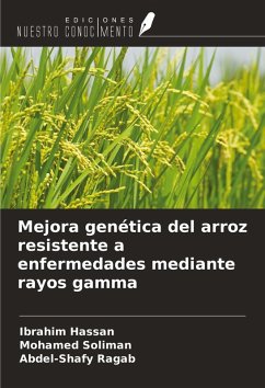 Mejora genética del arroz resistente a enfermedades mediante rayos gamma - Hassan, Ibrahim; Soliman, Mohamed; Ragab, Abdel-Shafy