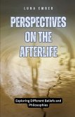 Perspectives on the Afterlife Perspectives on the Afterlife