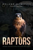 Raptors Raptors