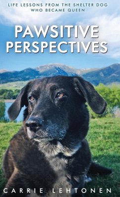 Cover Pawsitive Perspectives