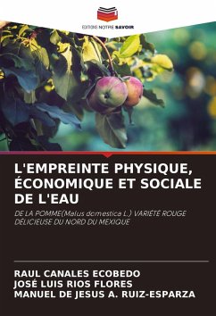 L'EMPREINTE PHYSIQUE, ÉCONOMIQUE ET SOCIALE DE L'EAU - CANALES ECOBEDO, RAUL;Ríos Flores, José Luis;A. Ruiz-Esparza, Manuel De Jesús