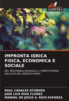 IMPRONTA IDRICA FISICA, ECONOMICA E SOCIALE - CANALES ECOBEDO, RAUL;Ríos Flores, José Luis;A. Ruiz-Esparza, Manuel De Jesús