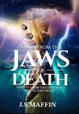 Diary From The Jaws Of Death (eBook, ePUB)