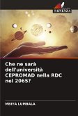 Che ne sarà dell'università CEPROMAD nella RDC nel 2065? Che ne sarà dell'università CEPROMAD nella RDC nel 2065?