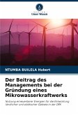 Der Beitrag des Managements bei der Gründung eines Mikrowasserkraftwerks Der Beitrag des Managements bei der Gründung eines Mikrowasserkraftwerks