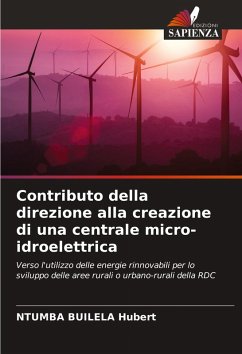 Cover Contributo della direzione alla creazione di una centrale micro-idroelettrica