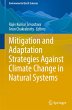 Mitigation and Adaptation Strategies... - Bild 1