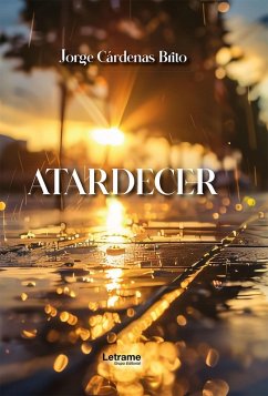 Cover Atardecer (eBook, ePUB)