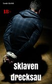 Sklavendrecksau (eBook, ePUB)