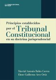 Principios establecidos por el Tribunal Constitucional en su doctrina jurisprudencial (eBook, ePUB)