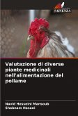 Valutazione di diverse piante medicinali nell'alimentazione del pollame