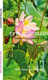 Extraordinary Extraordinary