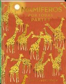 Mamíferos Por Todas Partes Mamíferos Por Todas Partes