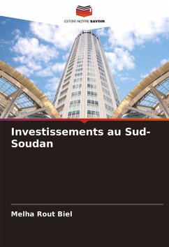 Cover Investissements au Sud-Soudan