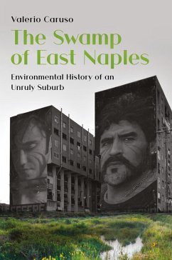 Cover The Swamp of East Naples