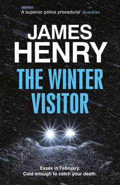 Cover The Winter Visitor