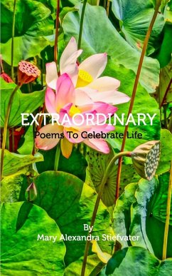 Extraordinary - Stiefvater, Mary Alexandra