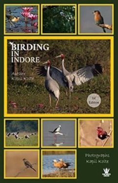 Birding In Indore - Kolte, Kapil