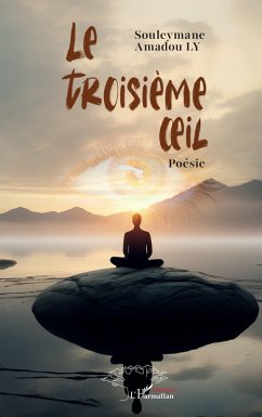 Cover Le troisième ¿il