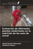 Evaluación de diferentes plantas medicinales en la nutrición de las aves de corral